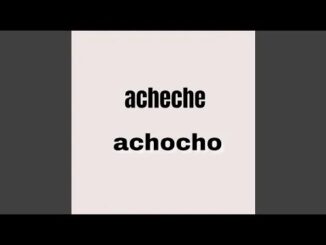 Smith 1x – Acheche Achocho